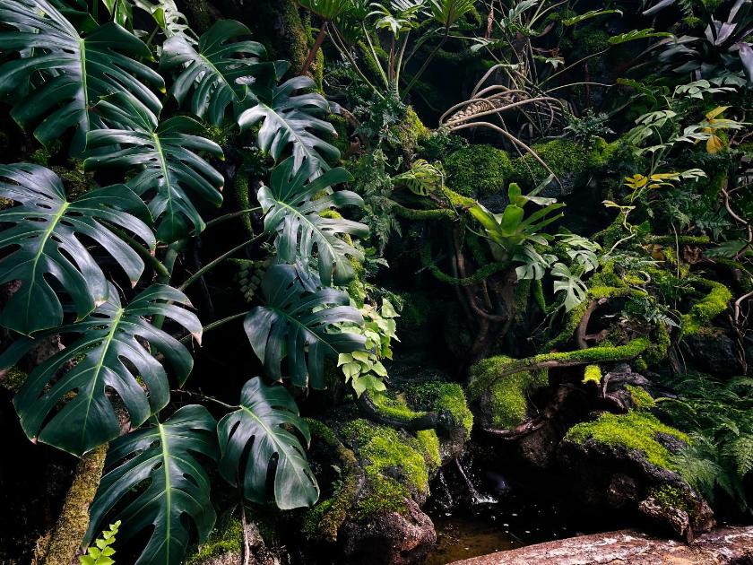 Căn Hộ Với Phòng Xông Hơi Khô Căn Hộ Với Phòng Xông Hơi Khô