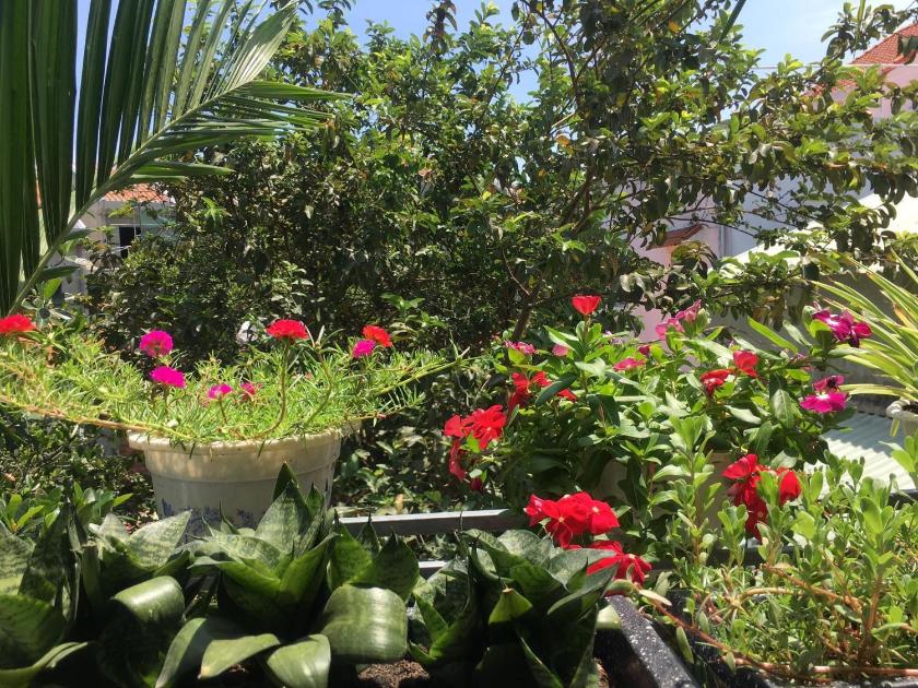 Phòng Giường Đôi Có Ban Công Phòng Giường Đôi Có Ban Công