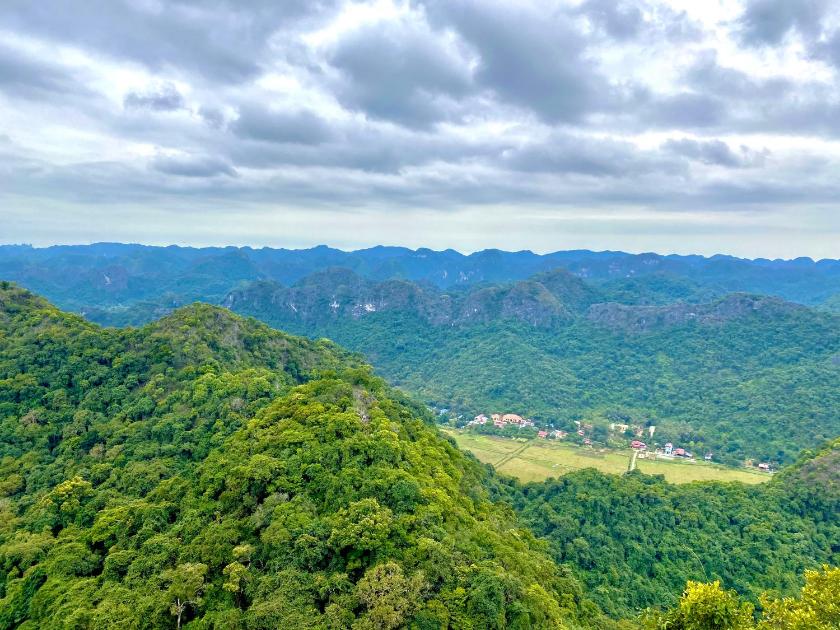 Phòng Superior Giường Đôi/2 Giường Đơn Nhìn Ra Núi Phòng Superior Giường Đôi/2 Giường Đơn Nhìn Ra Núi