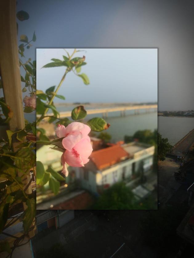 Phòng Đơn Nhìn Ra Hồ