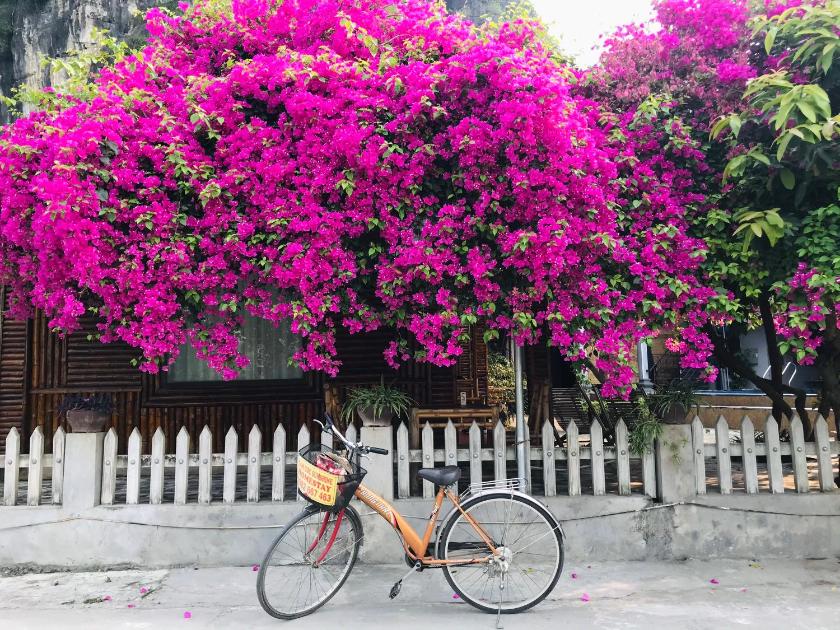 Phòng cho 3 người có Ban Công