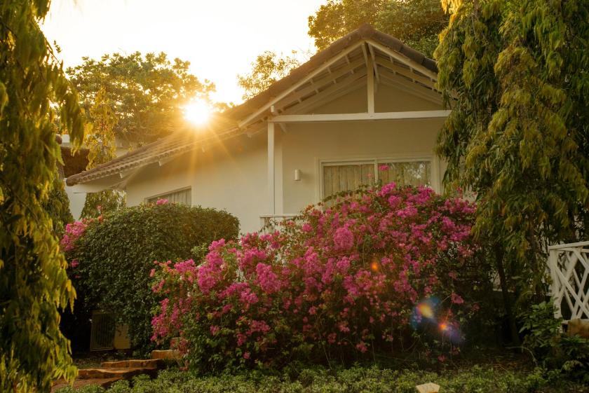 Phòng Đôi Garden Terrace