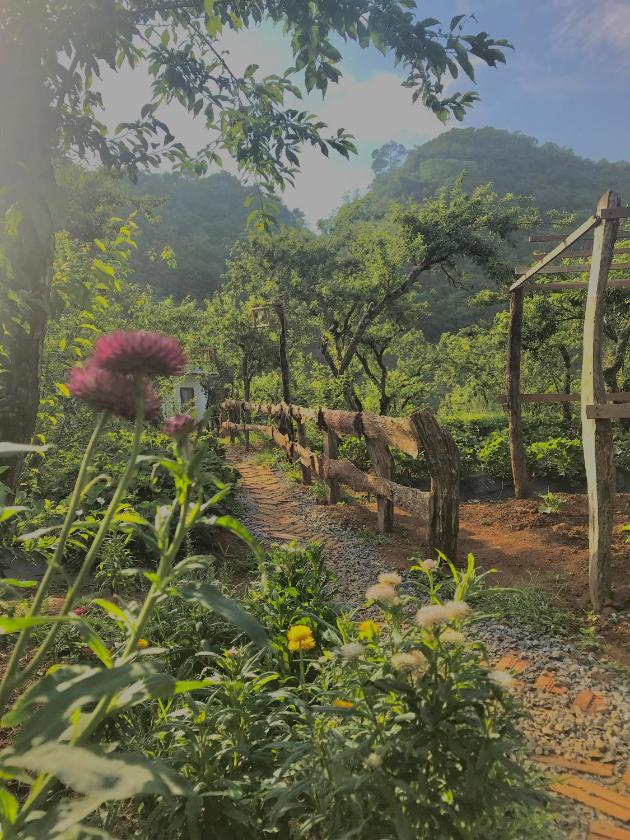 Phòng 4 người nhìn ra vườn