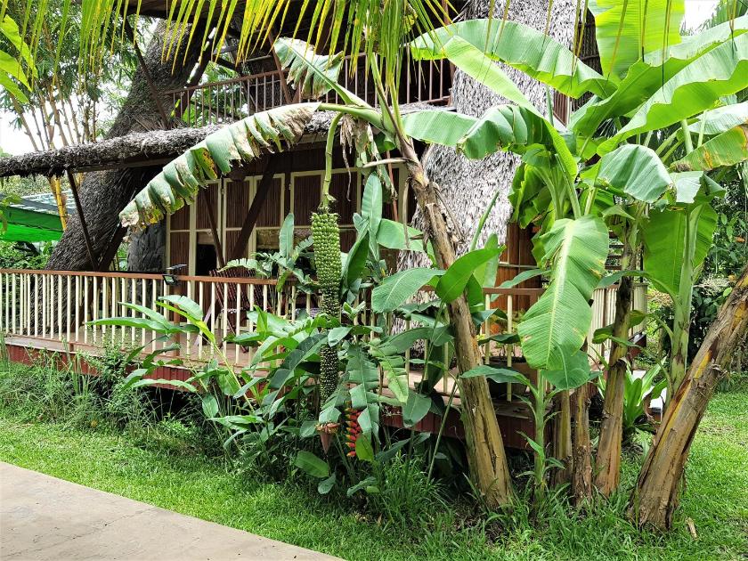 Bungalow Deluxe Nhìn Ra Khu Vườn Bungalow Deluxe Nhìn Ra Khu Vườn