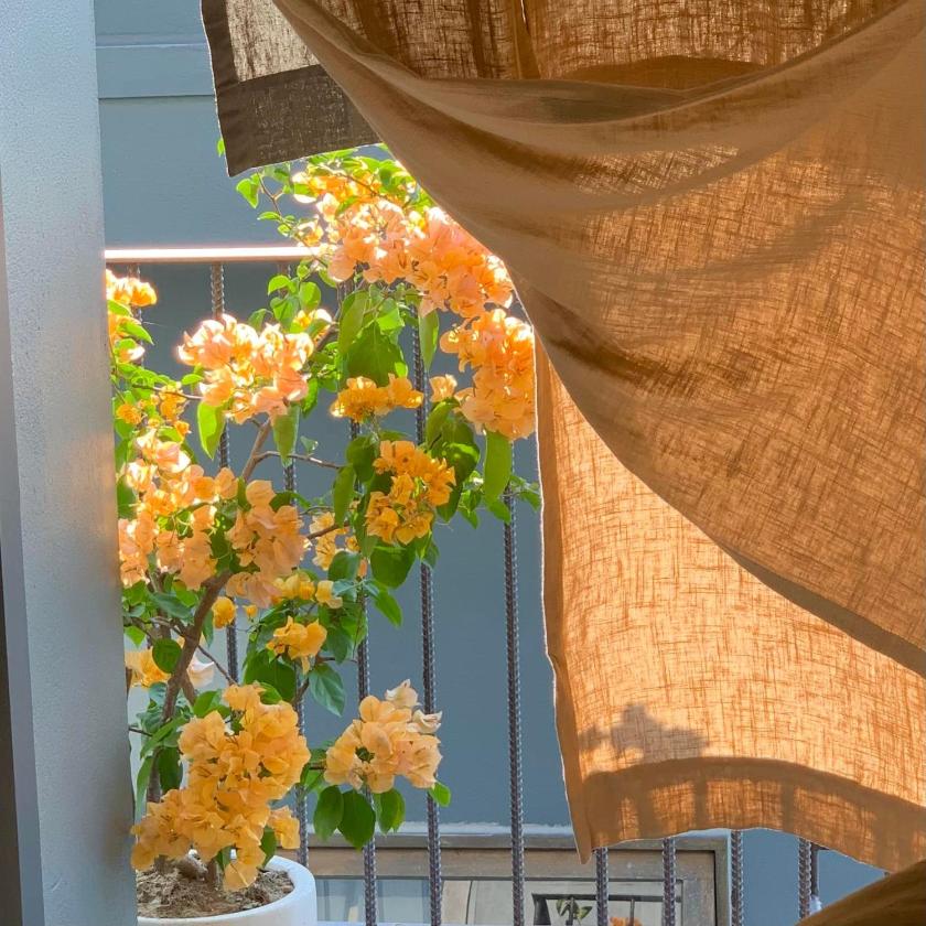 Phòng Giường Đôi Nhìn Ra Vườn Phòng Giường Đôi Nhìn Ra Vườn