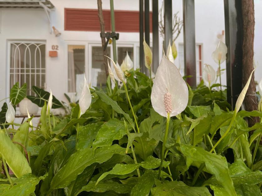 Phòng Deluxe (2 Người lớn + 1 Trẻ em) Phòng Deluxe (2 Người lớn + 1 Trẻ em)