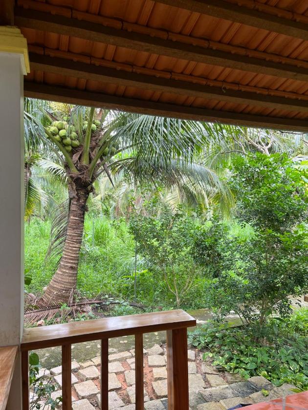 Phòng 3 Người Nhìn Ra Vườn