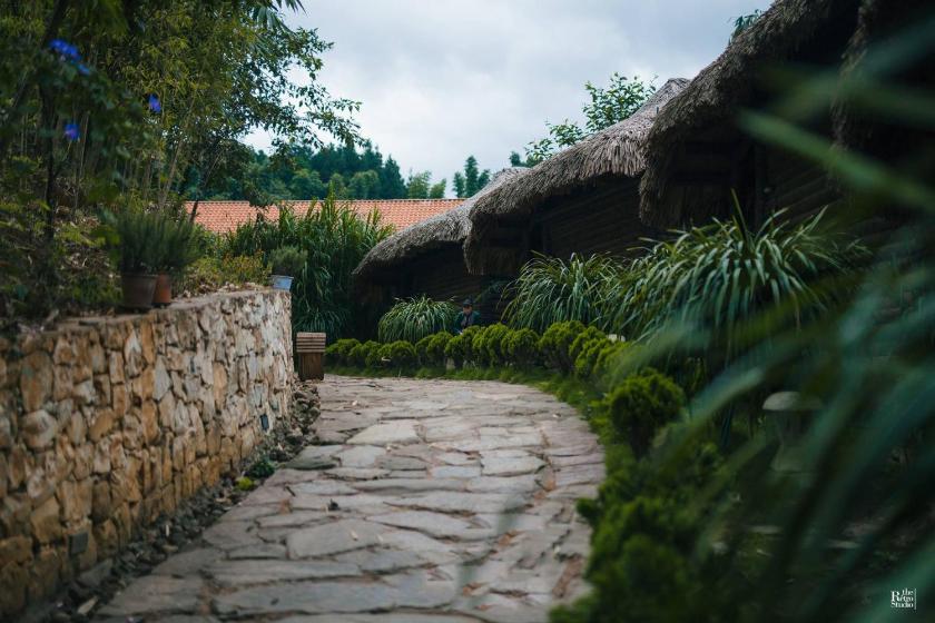 Bungalow Deluxe Bungalow Deluxe