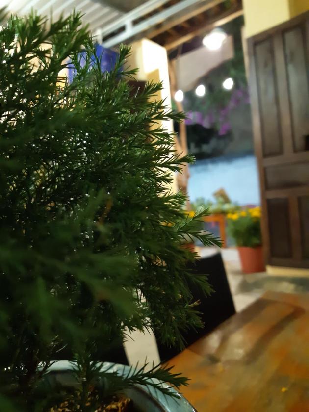 Phòng Ngủ Tập Thể 6 Giường Cho Cả Nam Và Nữ