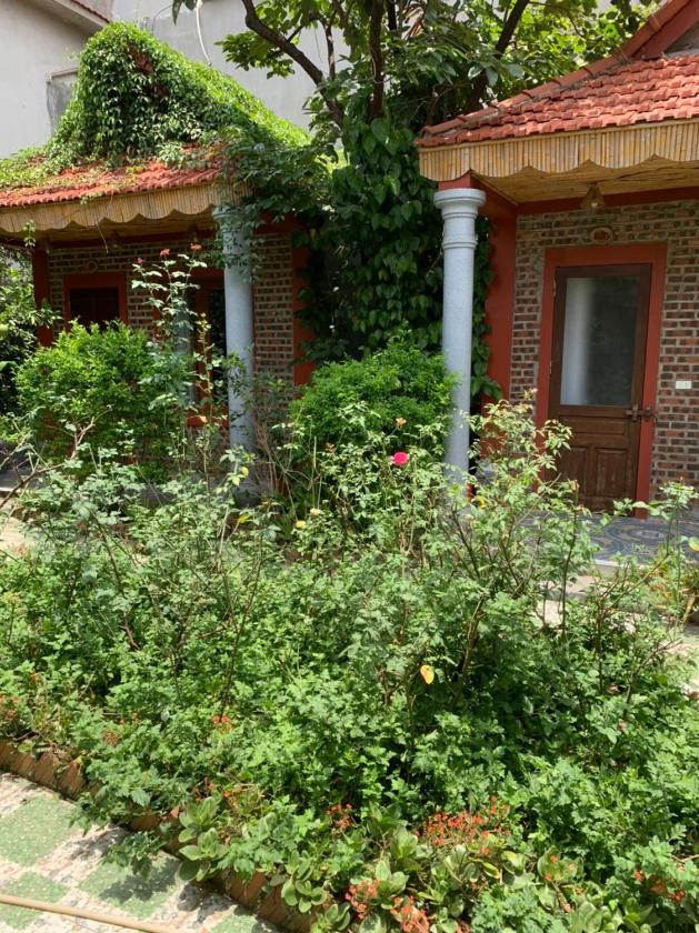 Phòng 3 Người Nhìn Ra Vườn Phòng 3 Người Nhìn Ra Vườn