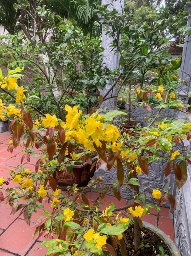 Phòng 2 giường đơn có ban công Phòng 2 giường đơn có ban công