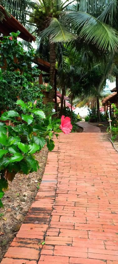 Bungalow Gia Đình Bungalow Gia Đình