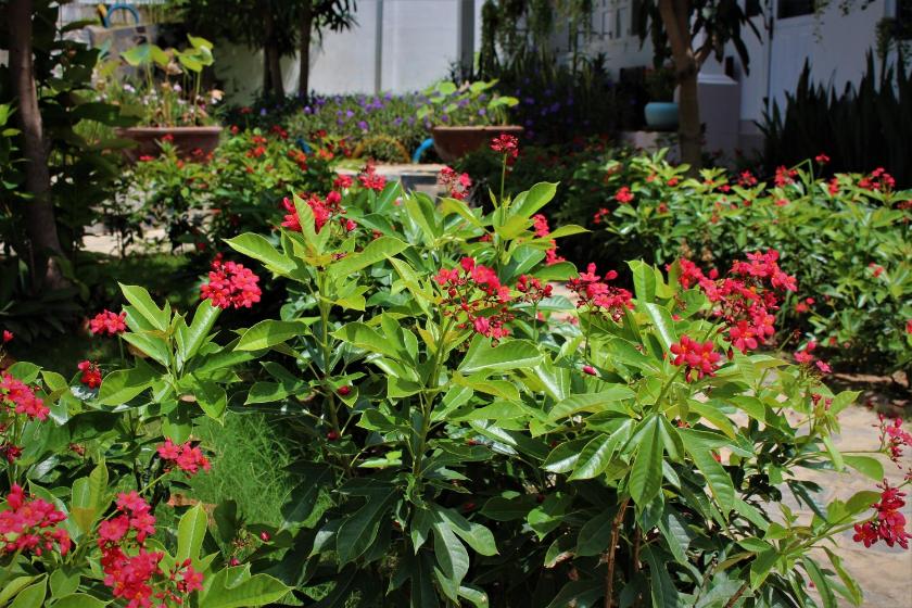 Phòng Gia đình Nhìn ra Vườn Phòng Gia đình Nhìn ra Vườn