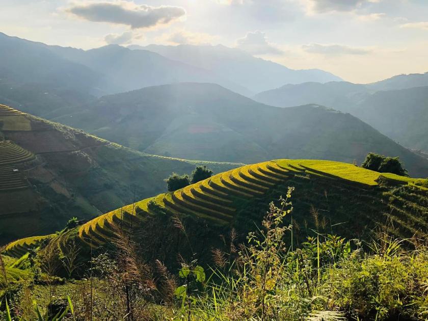 Ưu Đãi Sử Dụng Trong Ngày (3 Giờ) - Phòng Tiêu Chuẩn  Ưu Đãi Sử Dụng Trong Ngày (3 Giờ) - Phòng Tiêu Chuẩn