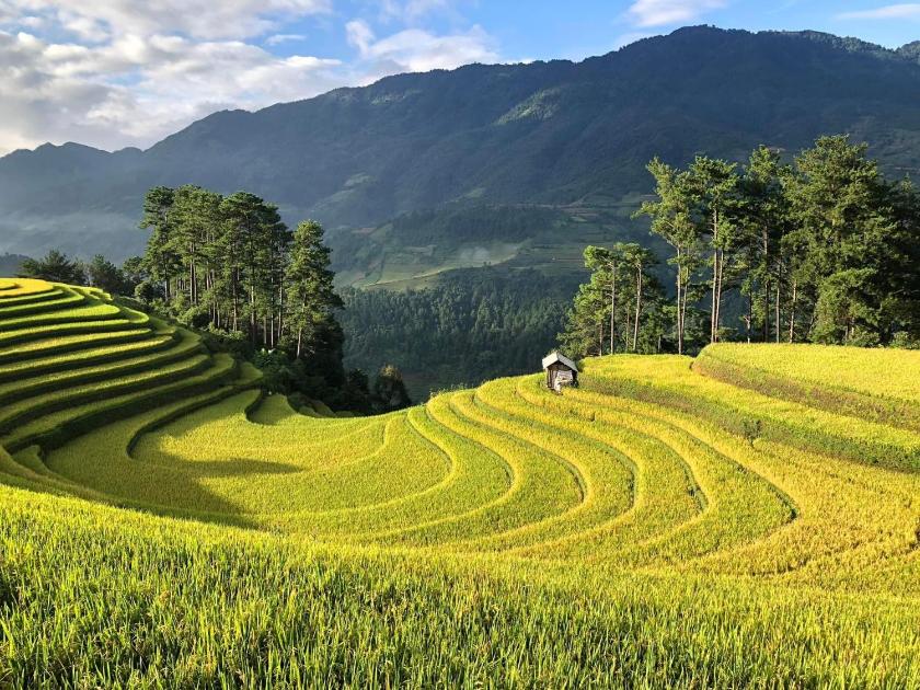 Ưu Đãi Sử Dụng Trong Ngày (3 Giờ) - Phòng Tiêu Chuẩn 