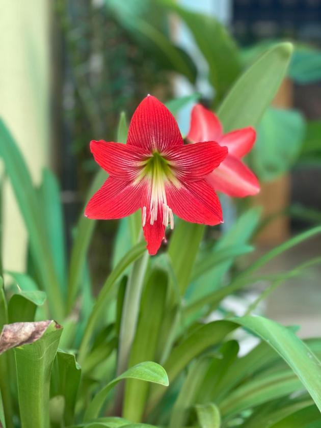 Phòng Giường Đôi Nhìn Ra Hồ Nước Phòng Giường Đôi Nhìn Ra Hồ Nước