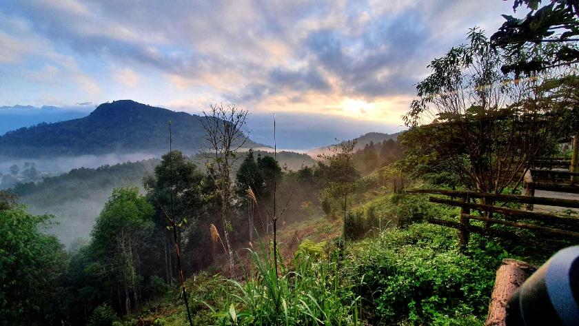 Phòng 4 người Nhìn ra cảnh Núi non