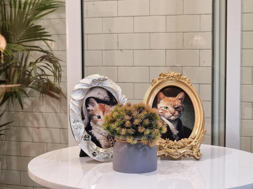 Căn hộ Tiêu chuẩn