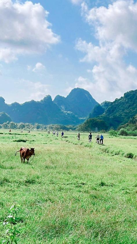 Phòng Deluxe Giường Đôi/2 Giường Đơn Nhìn Ra Biển - 2 Ngày 1 Đêm