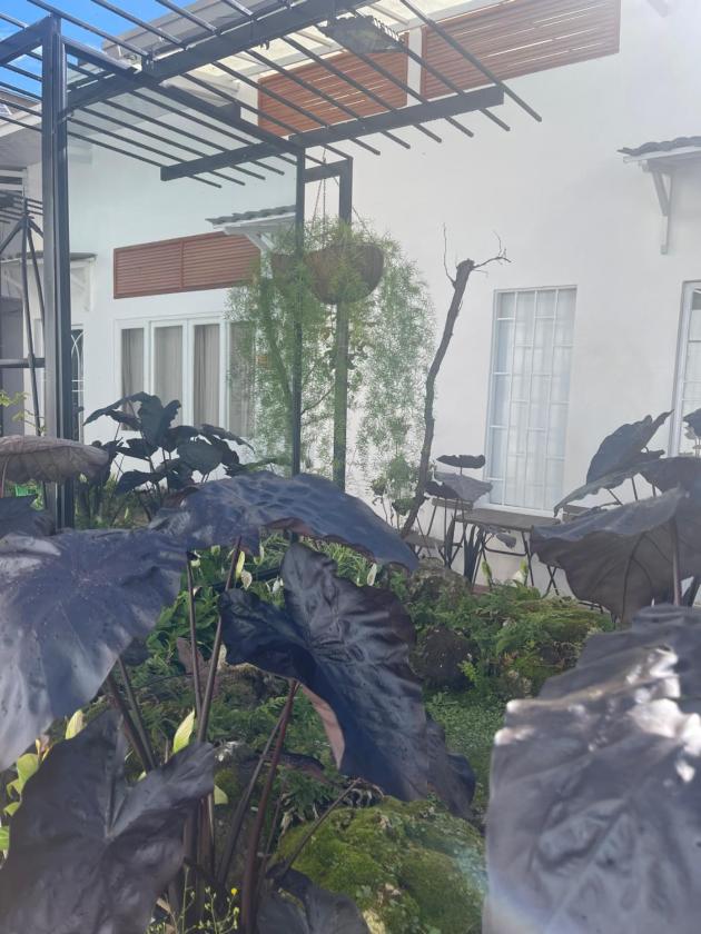 Phòng Deluxe (2 Người lớn + 1 Trẻ em) Phòng Deluxe (2 Người lớn + 1 Trẻ em)