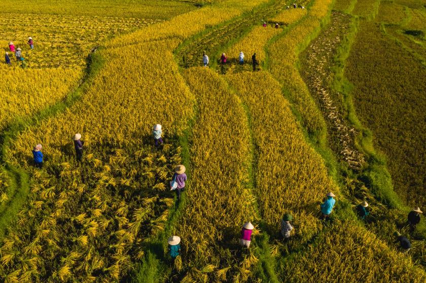 Phòng Deluxe Giường Đôi