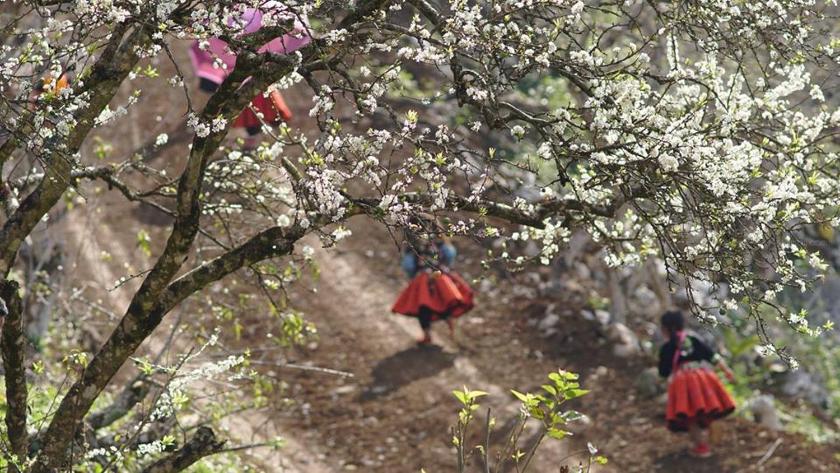 Phòng Ngủ Tập Thể Cho Cả Nam Và Nữ