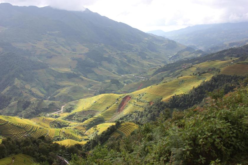 Bungalow 1 Phòng Ngủ