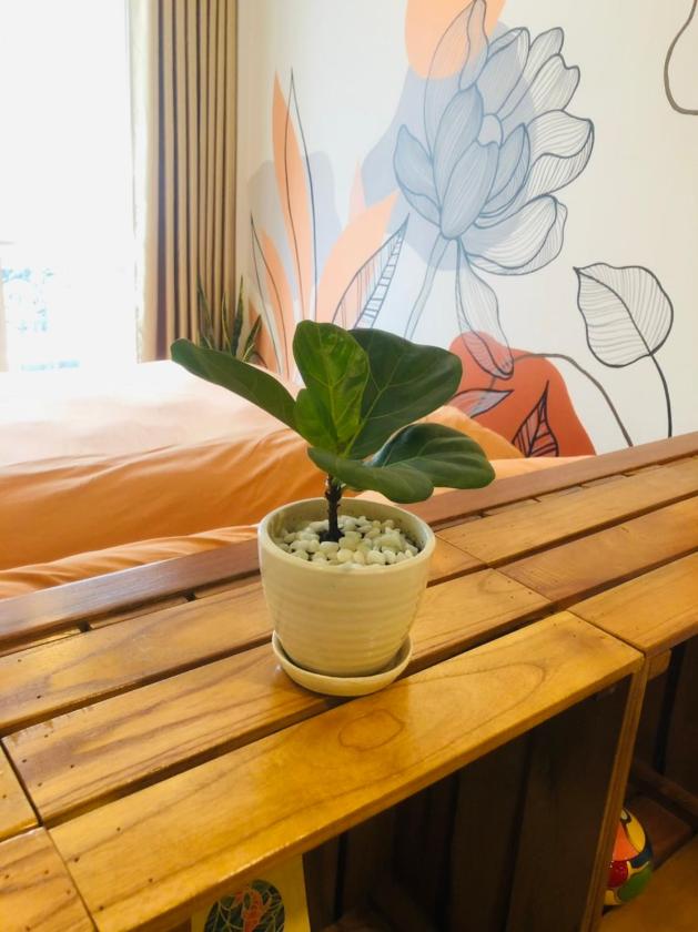 Phòng Deluxe Có Giường Cỡ King Phòng Deluxe Có Giường Cỡ King