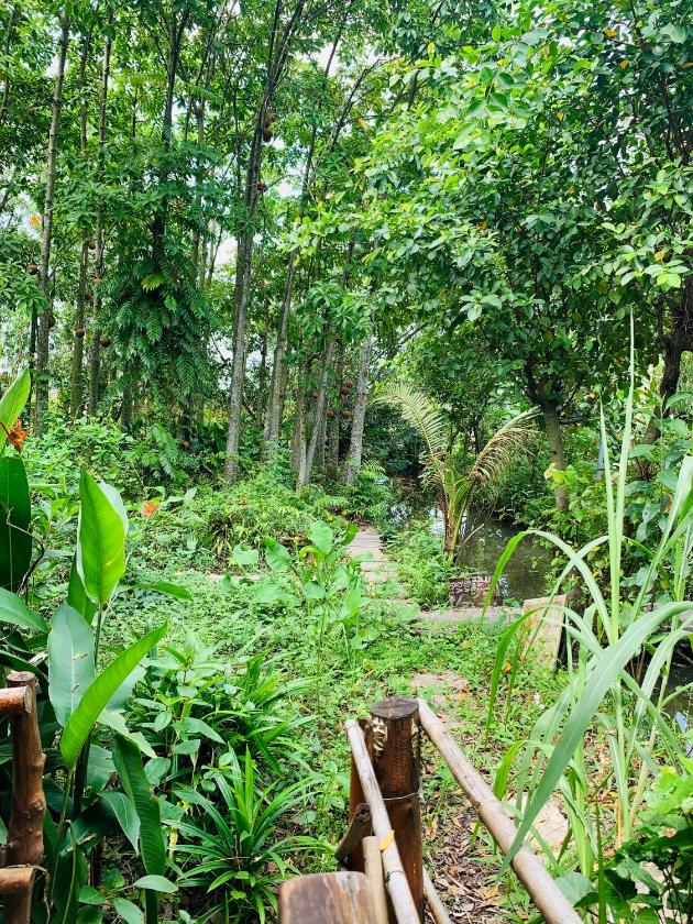 Phòng Có Giường Cỡ King Nhìn Ra Vườn Phòng Có Giường Cỡ King Nhìn Ra Vườn