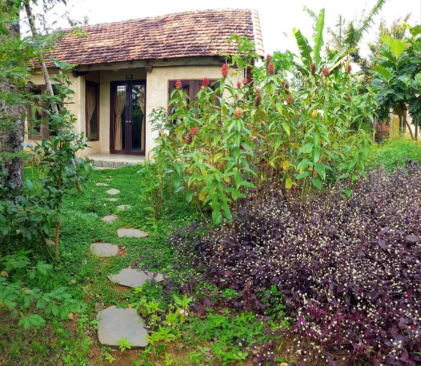 Cottage Nhìn Ra Vườn