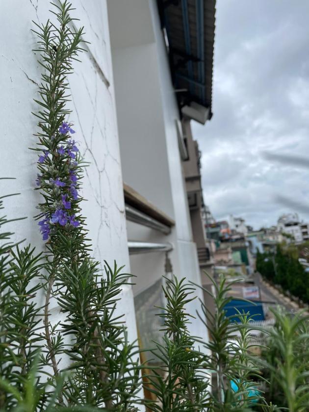 Phòng 4 Người Nhìn ra Hồ nước Phòng 4 Người Nhìn ra Hồ nước