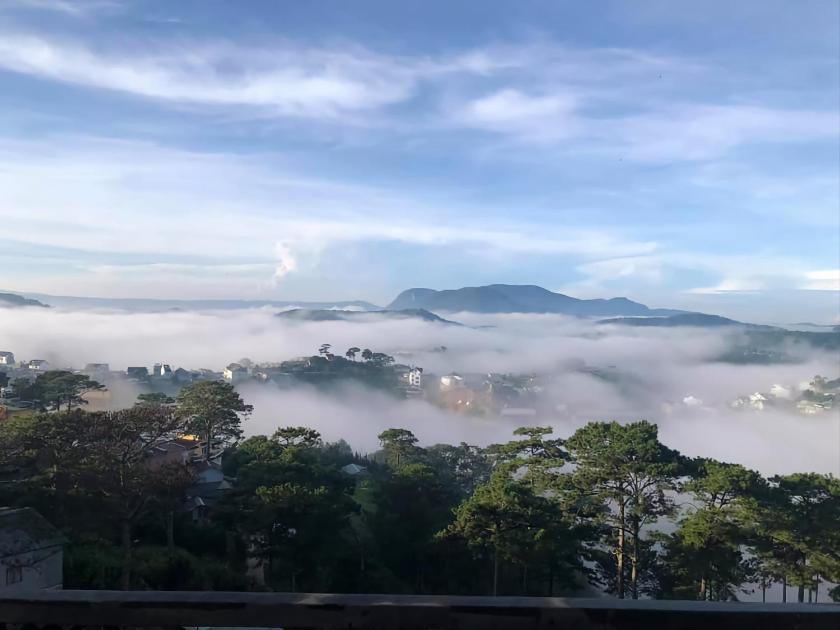 Căn Hộ Nhìn Ra Vườn