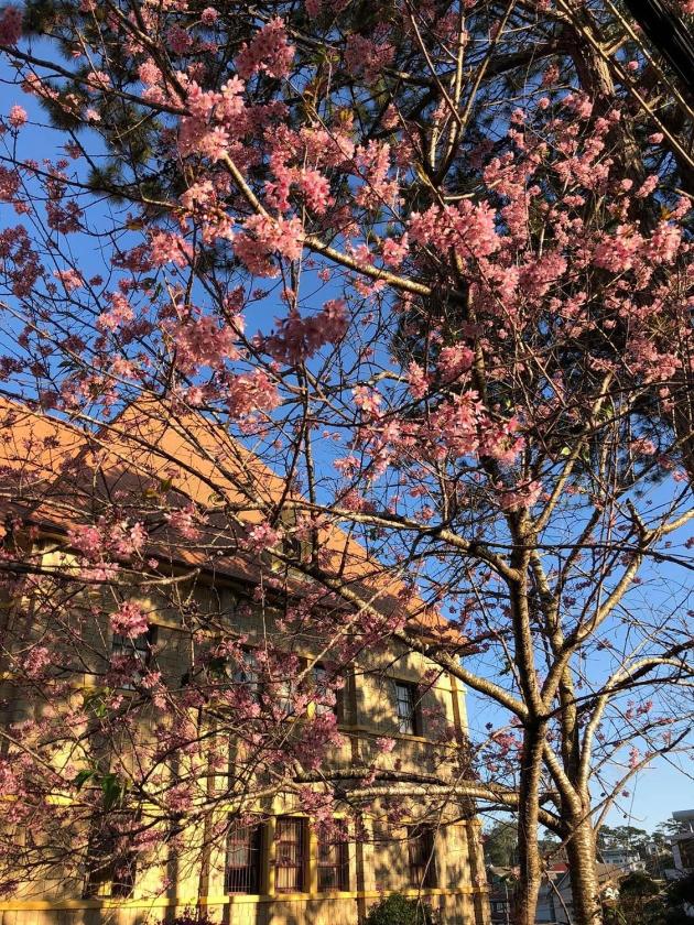 Biệt Thự Deluxe Biệt Thự Deluxe