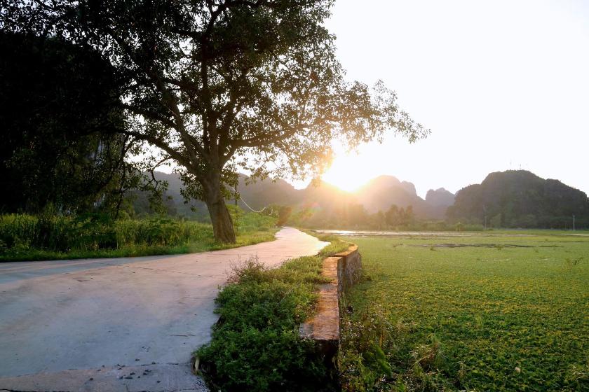 Bungalow Nhìn Ra Hồ Bơi