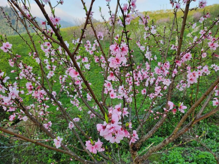 Phòng Deluxe Giường Đôi