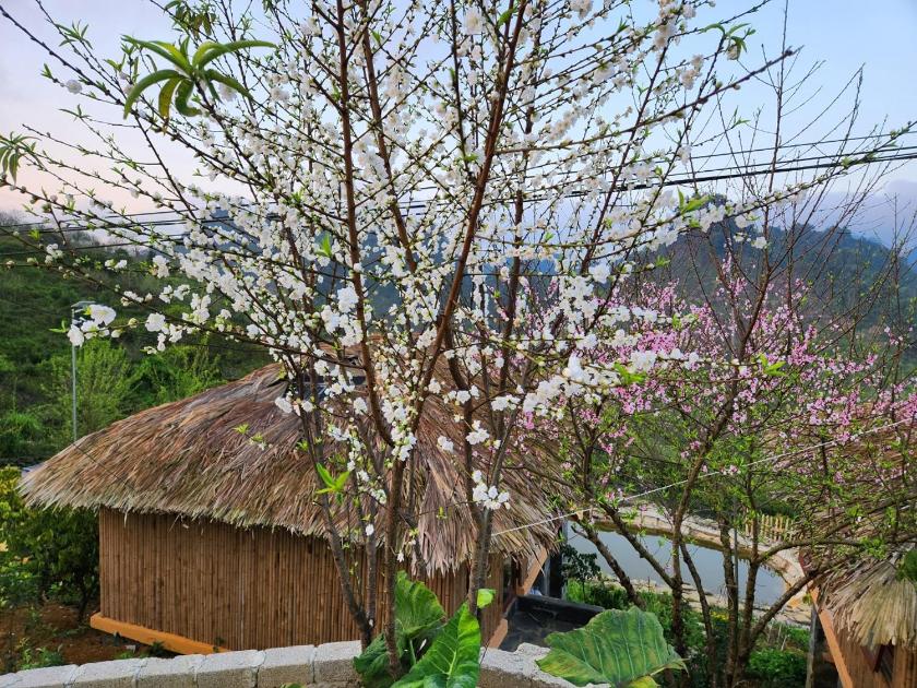 Bungalow Nhìn ra vườn