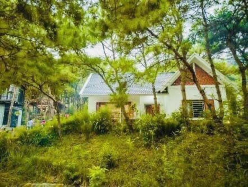 Biệt Thự 3 Phòng Ngủ