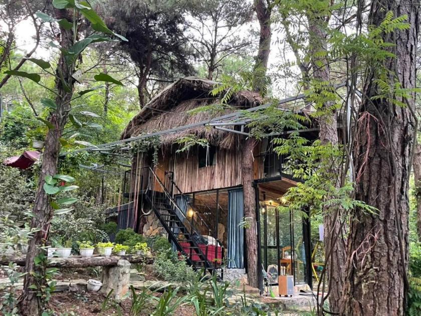 Biệt Thự 2 Phòng Ngủ