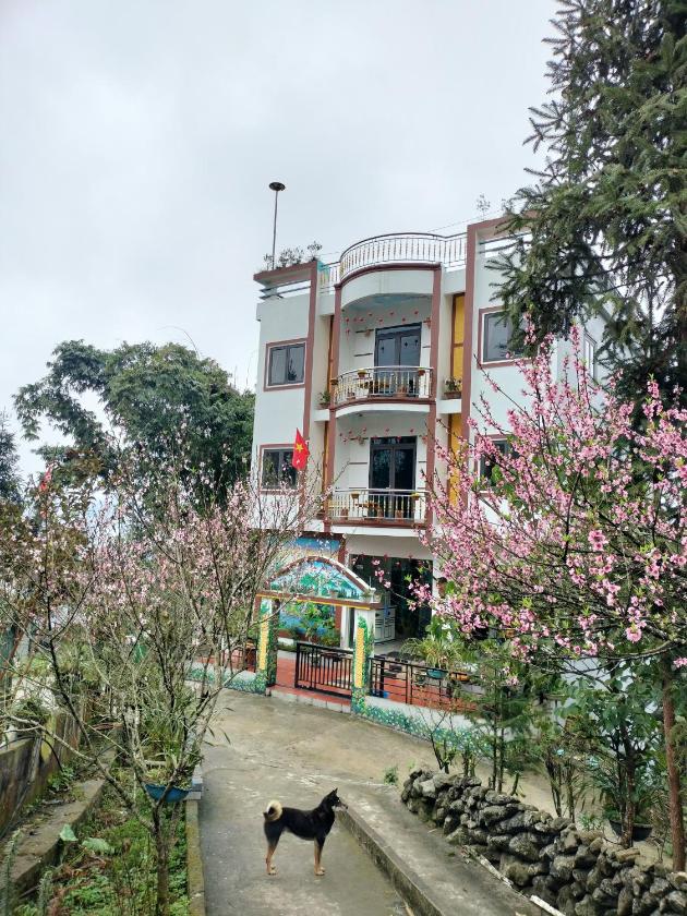 Phòng 3 Người Nhìn Ra Núi