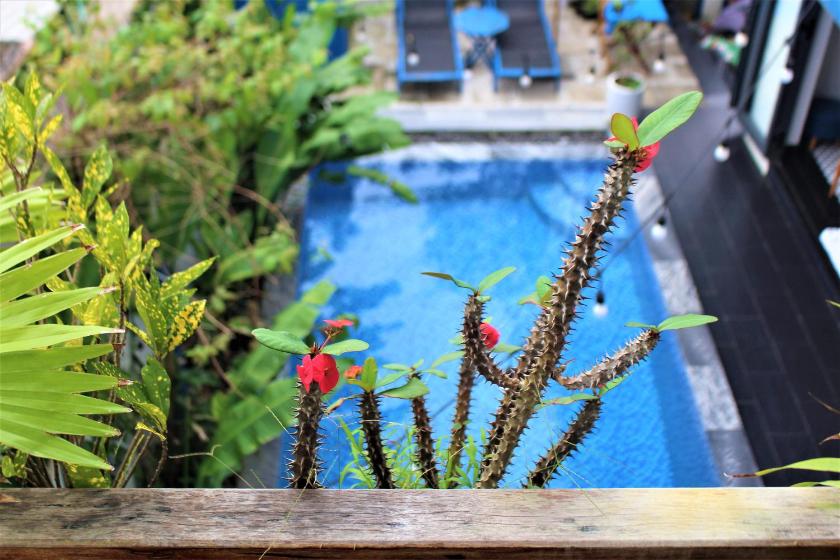 Suite Junior Nhìn Ra Hồ Bơi Suite Junior Nhìn Ra Hồ Bơi