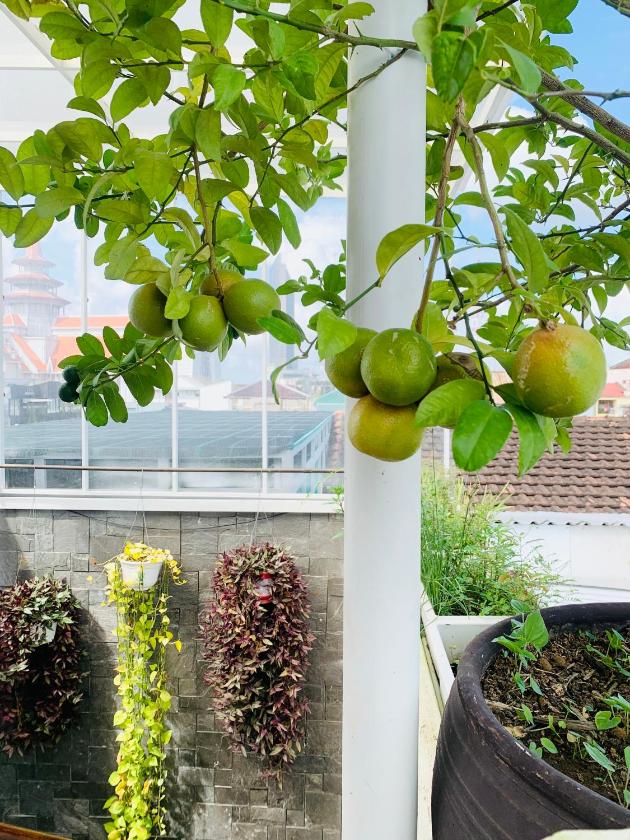 Phòng Deluxe Phòng Deluxe