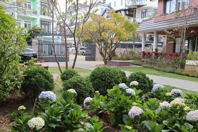 Biệt Thự Biệt Thự