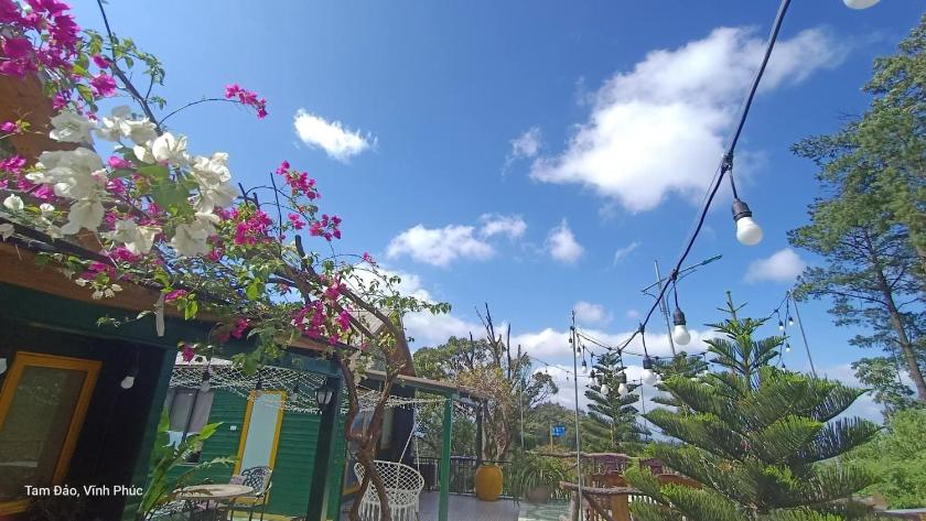 Biệt Thự 1 Phòng Ngủ