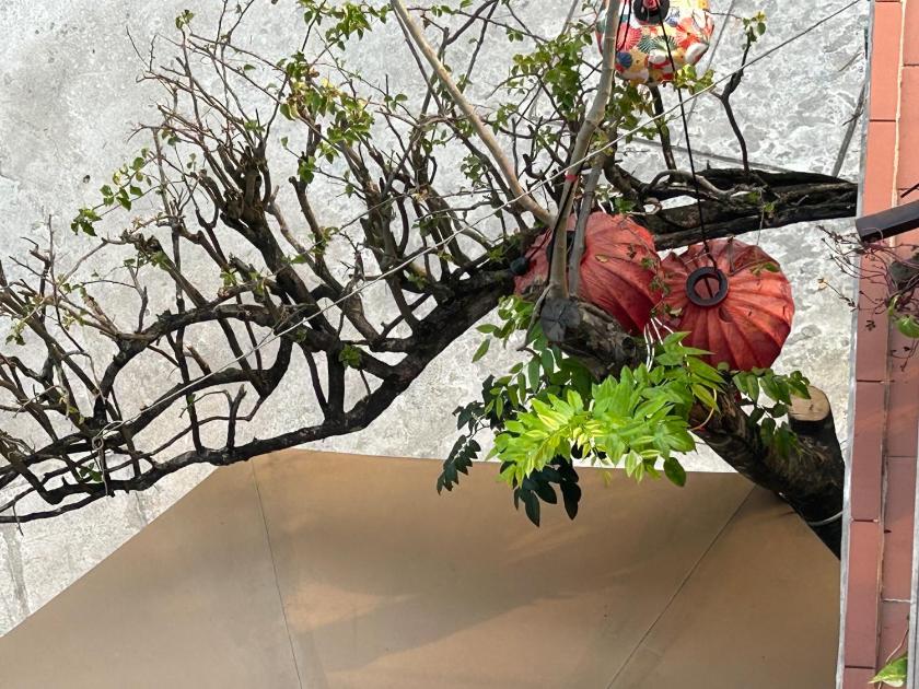 Phòng Superior Giường Đôi Phòng Superior Giường Đôi