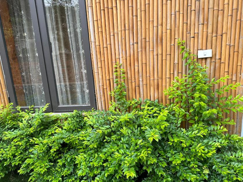 Bungalow Nhìn ra vườn Bungalow Nhìn ra vườn