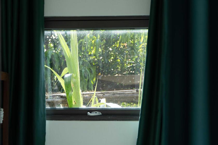 Phòng Tiêu Chuẩn Giường Đôi