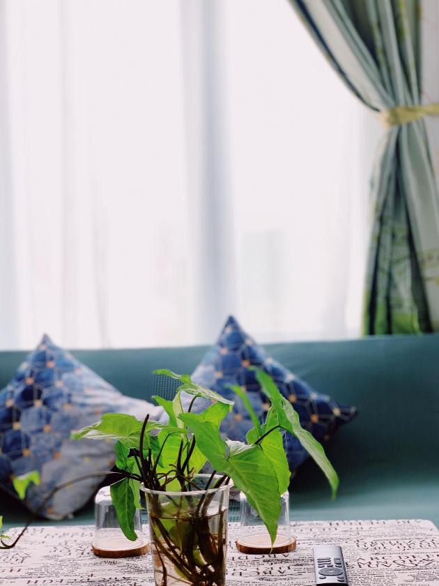 Phòng Có Giường Cỡ King Với Ban Công Phòng Có Giường Cỡ King Với Ban Công