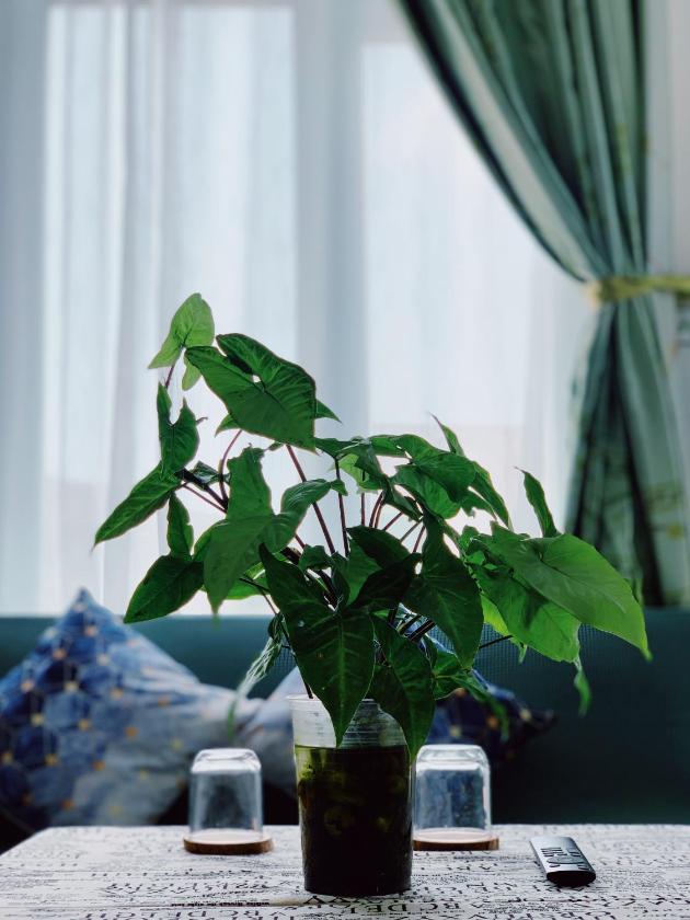 Phòng Có Giường Cỡ King Với Ban Công Phòng Có Giường Cỡ King Với Ban Công