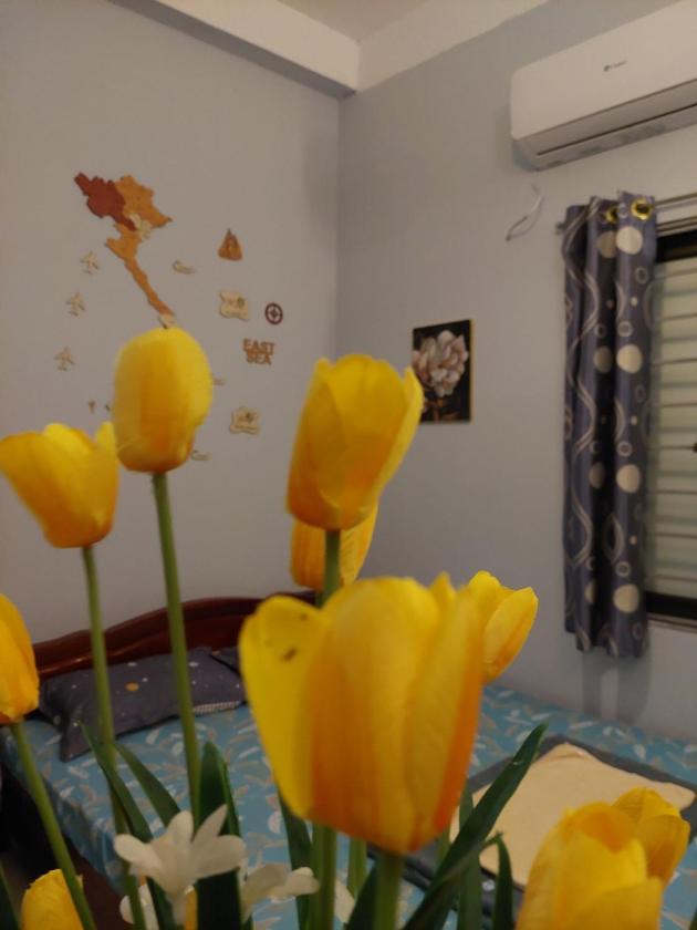 Phòng Deluxe Giường Đôi Phòng Deluxe Giường Đôi