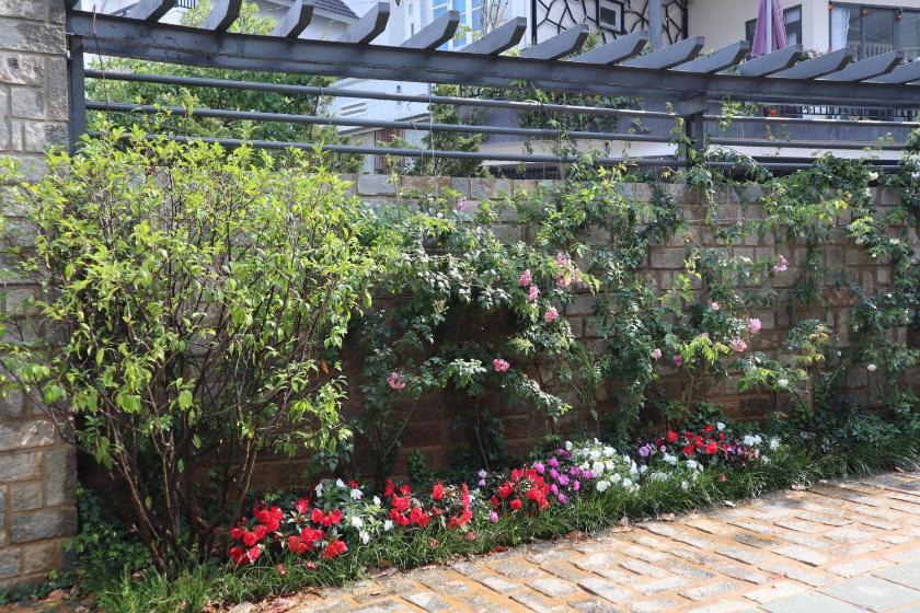 Căn Hộ Nhìn Ra Vườn Căn Hộ Nhìn Ra Vườn